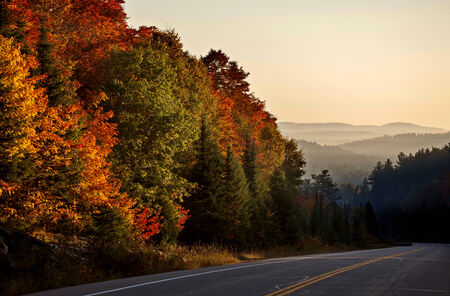 Autumn Colors and road in Algonquin Park Ontario Canadaの写真素材