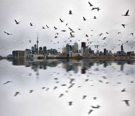 Daytime Photos of Toronto Ontario buildings downtown reflection seagullsのeditorial素材