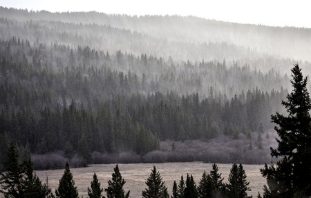 Cypress Hills Alberta Saskatchewan in the hills Alberta