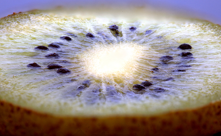 Kiwi Fruit Macro studio shot close up greenの写真素材