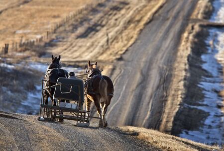 Horses and Carriageの写真素材