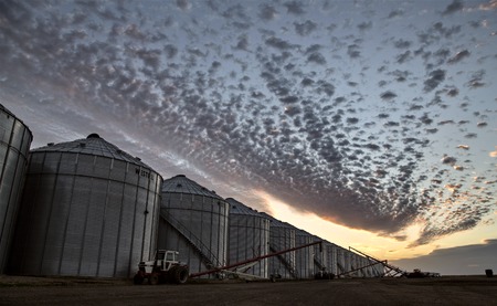 Grain Elevator Saskatchewan blue sky storage Canadaのeditorial素材