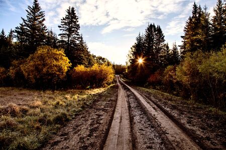 Autumn Colors