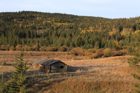 Autumn Colors Cypress Hills Canada interprovincial Parkのeditorial素材