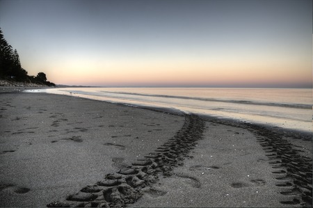 Beach Truck Tracks Collingwood New Zealand Scenicの写真素材