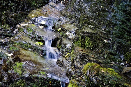 Waterfall Picton New Zealand lush rain forest