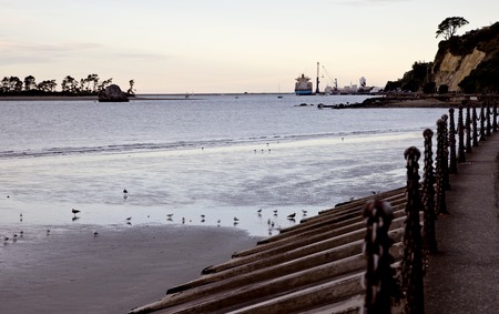 Nelson New Zealand South Island Ocean Sideの写真素材