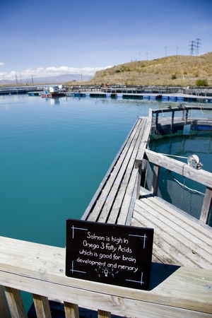 Lake Benmore Salmon Farm South Island New Zealandの写真素材