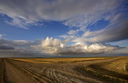 Prairie Scene Saskatchewan summer crop harvest Canadaの写真素材