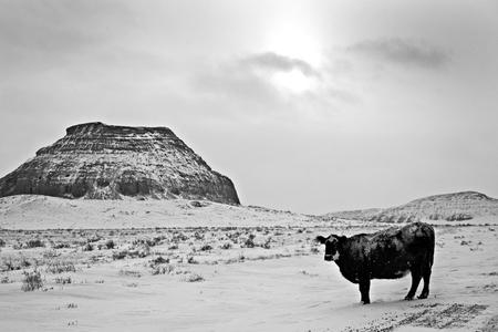 Winter Scene Saskatchewan Badlands Big Muddy Valleyの写真素材