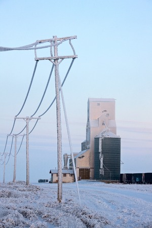 Winter Frost Saskatchewan Canada ice storm Power Linesの写真素材