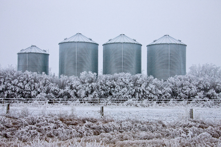 Winter Frost Saskatchewan Canada ice storm dangerの写真素材