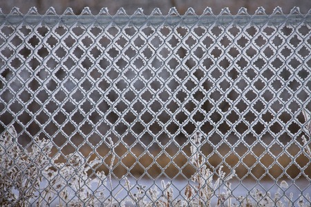 Winter Frost Saskatchewan Canada ice storm fenceの写真素材