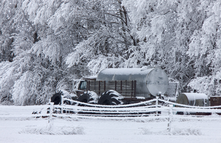 Winter Frost Saskatchewan Canada ice storm dangerの写真素材