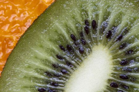 Macro Close Up Fruit Kiwi seeds colorful greenの写真素材
