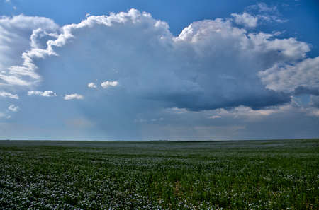 Prairie Storm Canada in Saskatchewan Summer Cloudsの写真素材