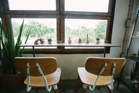 Many cactus plants are arranged on the desk.