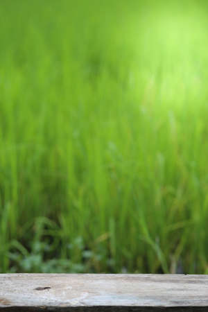 old brown wooden floor beside green riceの写真素材