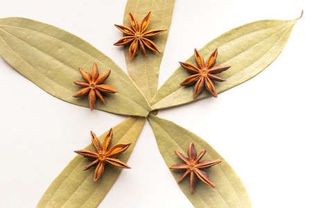 Cinnamon Tamla leaves also known as Indian bay leaf, tejapatta, Malabar leaf, Indian bark, Indian cassia, or malabathrum with star anise on it and white backgroundの写真素材