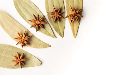 Dried star anise with cinnamon tamla leaves with white background and copy space.の写真素材
