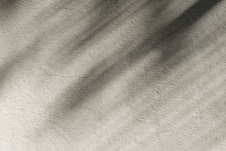 Backdrop of Shadow of coconut tree leaves on the grunge concrete textured wall.の写真素材