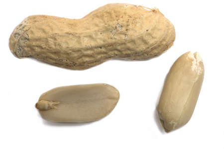 Close up of shelled peanuts next to half of shell on white background