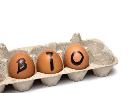 Close up of three brown eggs in an uncolored recycled gray cardboard box with the word bio means...