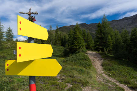 three clearly visible yellow signposts pointing in different directions next to a narrow footpath in...
