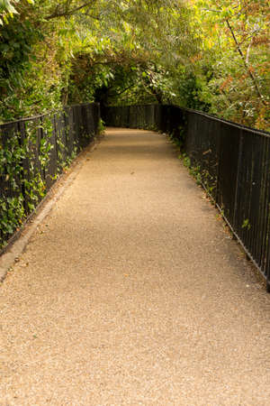 romantic path with black wrought iron fence between green trees shrubs and plants as a concept for reaching goalsの写真素材