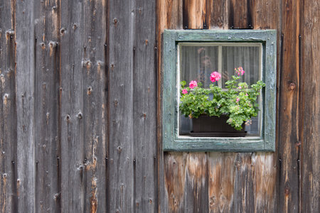 Close up of rustic weathered rural wooden facade with inviting green frame transom window and blooming flowers as concept for homeliness and to use as backgroundの写真素材