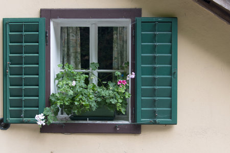 Close up view of rural rustic house facade showing inviting green frame side doors window and blooming flowers as concept for welcome home homeliness backgroundの写真素材