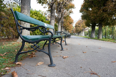Close up of green park bench with black curved wrought iron side piece in autumn with brown leaves lying on ground as concept for fall season and public placesの写真素材