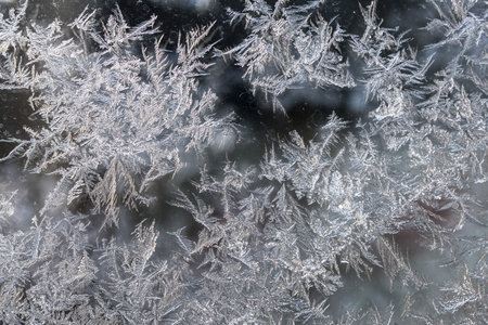 close up of frozen ice flowers with beautiful vulnerable branches on a window on a cold winter day as concept for freezing frost weather and subzero temperaturesの写真素材