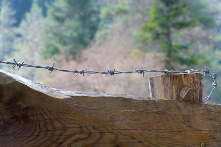 Close up stretched barbed razor wire over rustic wood wooden solid fence blurred background concept for border being locked up not allowed and restricted areaの写真素材