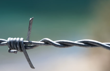 Macro close up of sharp dangerous pointed metal steel barbed wire against blurred background as concept for borders border control migration prison confinement and prohibited cordoned off areasの写真素材