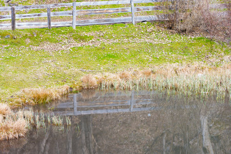 Partial view of a reflecting smooth water surface of a small pond surrounded by forest grass and a wooden fence as a concept for clean drinking water rest recreation in intact natureの写真素材