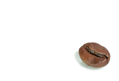 Close-up of a roasted brown coffee bean on a white background as a concept for coffee enjoyment Roasting and Baristaの写真素材