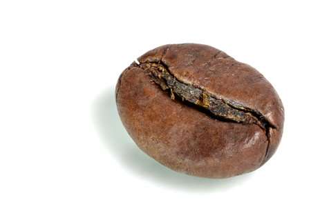 Barista concept with close-up of a brown roasted coffee bean as a symbol of roasting and coffee enjoyment on a white backgroundの写真素材