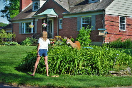 Young girl with a doe deer walking through a residential neighborhood