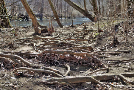 Little Miami river in the spring near yellow springs ohioの写真素材