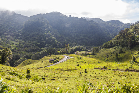 Panama Boquete Landscape, on the Quetzal Trailの写真素材