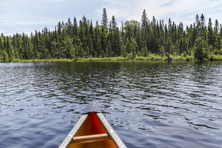 Algonquin Parc nature in Canada, on canoe tourの写真素材