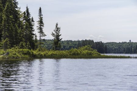 Algonquin Parc nature in Canada, on canoe tour