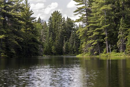 Algonquin Parc nature in Canada, on canoe tourの写真素材