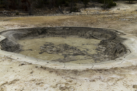 Bubbling Mud Hole in Yellowstone National Park