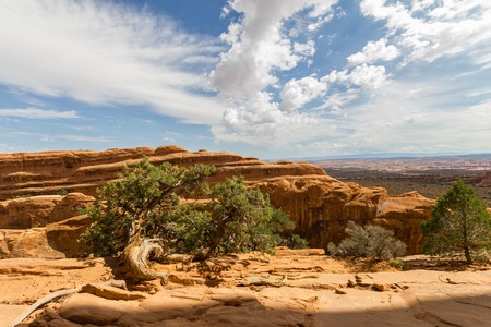 Landscape of Arches National Park in Utah, USAの写真素材