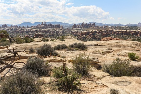 Landscape on the Chesler Park trail in Needles District, Canyonlandsの写真素材