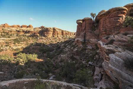 Beautiful landscape on the Chesler Park Trail, Needles Districtの写真素材