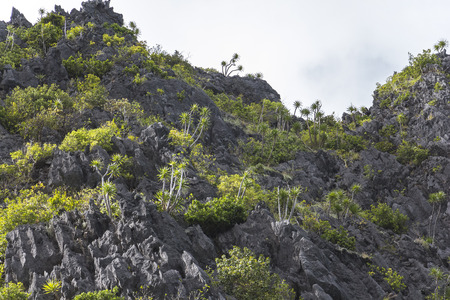 High limestone and karst rocks in philippinesの写真素材