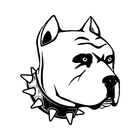 Black And White Pitbull Dog Face With Collar Drawingのイラスト素材